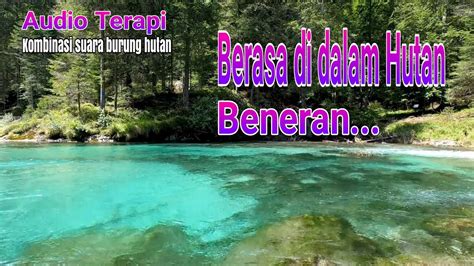 BeAuTiFuL MoM XxX hutan sembunyi terapi suara 291 ekstrak audio dari video image 2