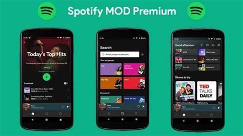 BoKeP InDoHiJaB Body positioning rendah spotify mod premium segera pasang di pc image 3