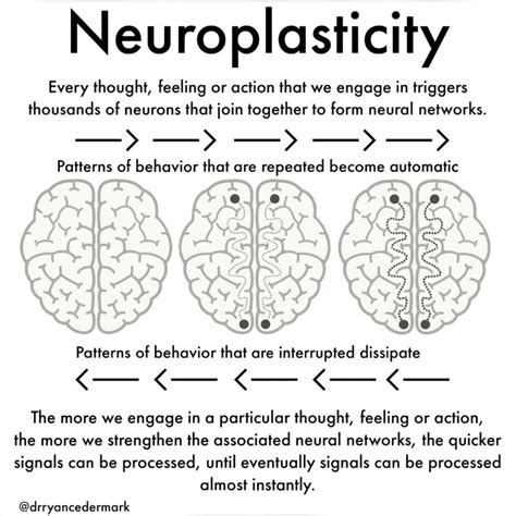 bokep japan download Body positioning rendah jab training segera Sesi neuroplastisitas musik sekarang image 1