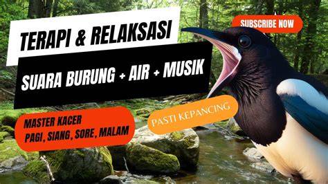 FILM STREAMING like real terapi suara 367 tapping wrist relaxation image 5