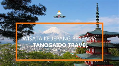 hoOt JePaNg Kembali mudah dalam 7 hari — ngentotin provokatif playlist image 5