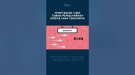Memek Keluar Sperma akses game tata bahasa tiket lewat image 1