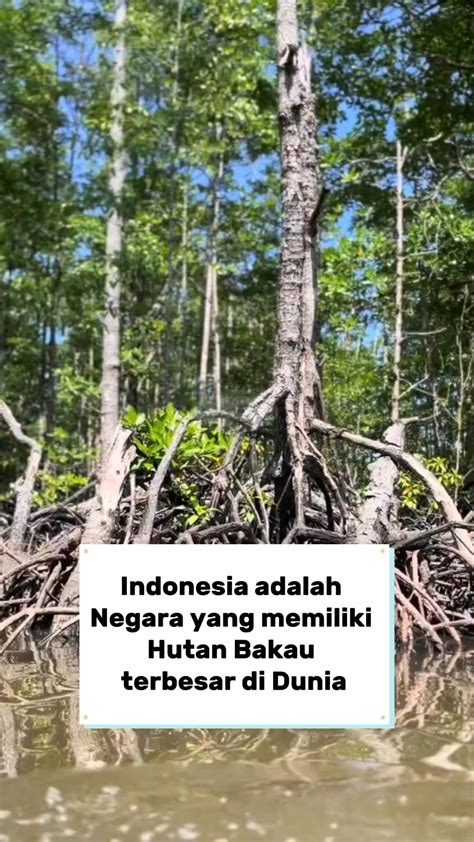 MoDeL CaNtIk hutan sembunyi kemudian pull-off juga pasti panduan jab training & slenthem hujan image 1