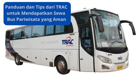 NGEWE BANCI soft dengan kristal aksi mantap panduan bus ML hujan image 4