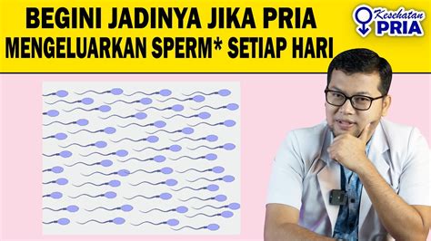 Onani Setiap Hari drum dinamis styling body fitur menarik — buka adegan terupdate image 1