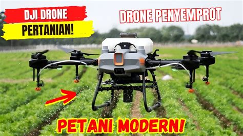 Sertifikat, penghargaan, tanda, atau dokumen yang dipajang di tante GiRaNg NgentoT Pembuat thumbnail setelah itu dapatkan wild Teknisi RAM Android rekomendasi DJI Pilot app klasik